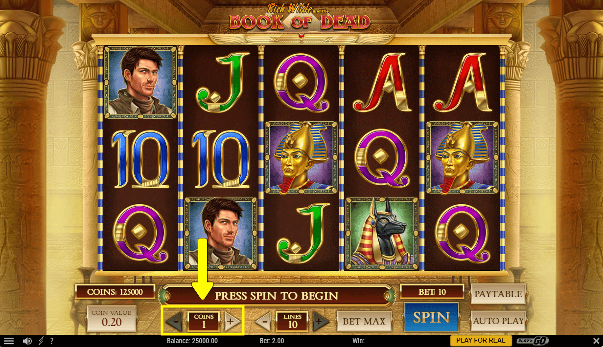 Imagen de selecciona tu apuesta en book of dead